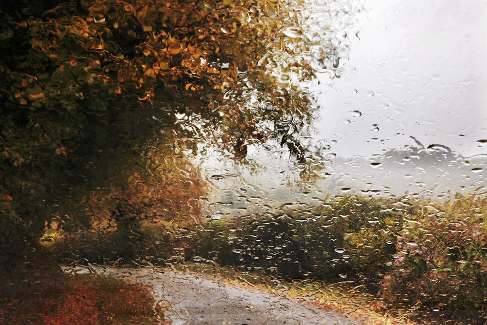 Октябрьский Дождь Картинки