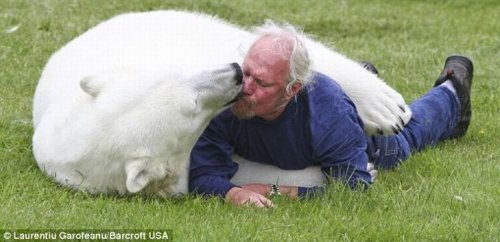 Дружба с белой медведицей