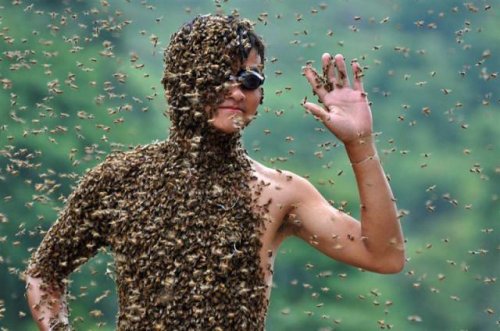 Костюм из 26 кило пчел