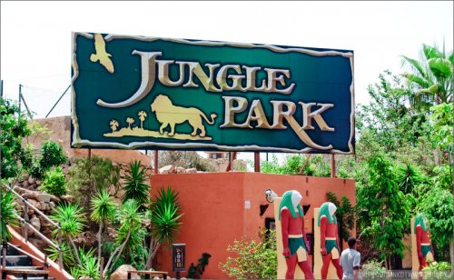 Необычный парк Jungle Park