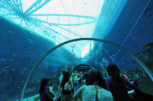 Самый крупный в мире океанариум – Marine Life Park в Сингапуре