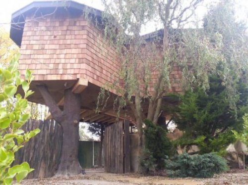 Роскошный дом на дереве за $100 000, не уступающий по комфорту 5-звёздочному отелю