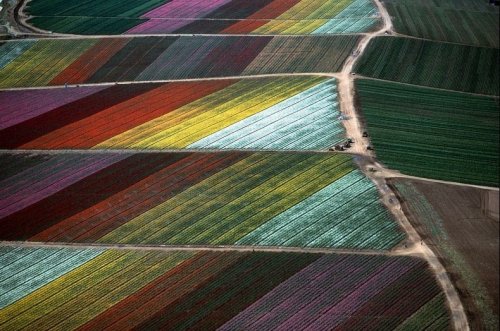 Сельхозугодья, вид сверху: Аэрофотосъёмка Алекса МакЛина (19 фото)
