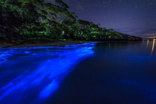 Австралийское побережье, освещённое планктоном (3 фото)