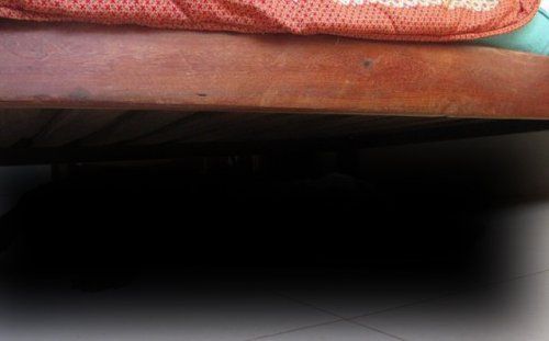 Неожиданный гость провёл под кроватью всю ночь (9 фото)