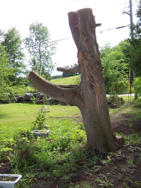 Из высохшего дерева – в арт-объект с помощью бензопилы (5 фото)