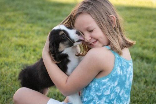 О любви между людьми и собаками (16 фото)