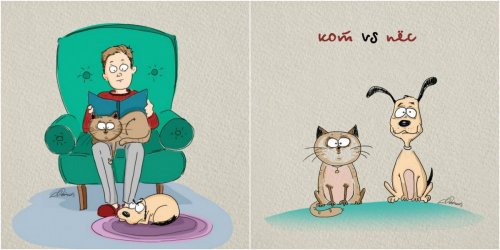 Иллюстрации художника Bird Born: кот vs. пёс (6 фото)