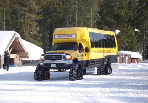 Необычные жёлтые школьные автобусы со всего света (10 фото)