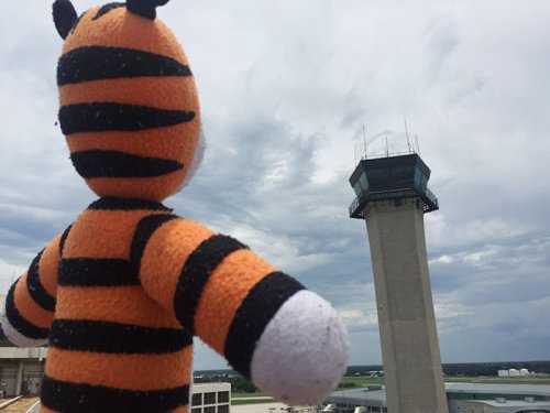Приключения плюшевого тигрёнка Хоббса в аэропорту Тампы (7 фото)