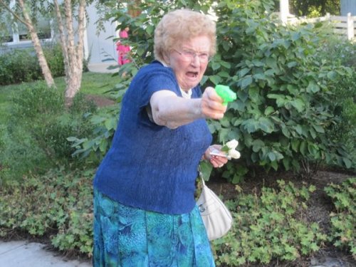 Фотожабы на бабушку с пистолетом (15 фото)