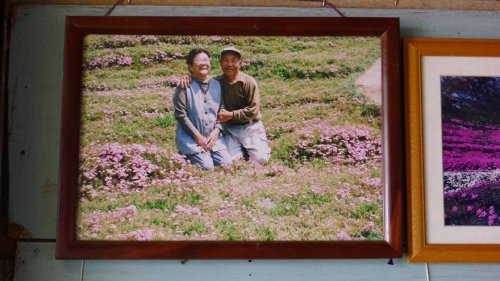 Любящий муж вырастил цветочный сад для своей жены, потерявшей зрение (10 фото + видео)