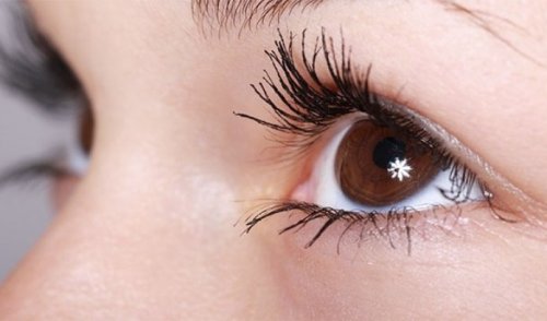 Топ-25: Удивительные факты про глаза и их сложное строение