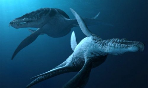 Топ-10: Ужасающие доисторические подводные монстры, о которых вы ещё не знаете