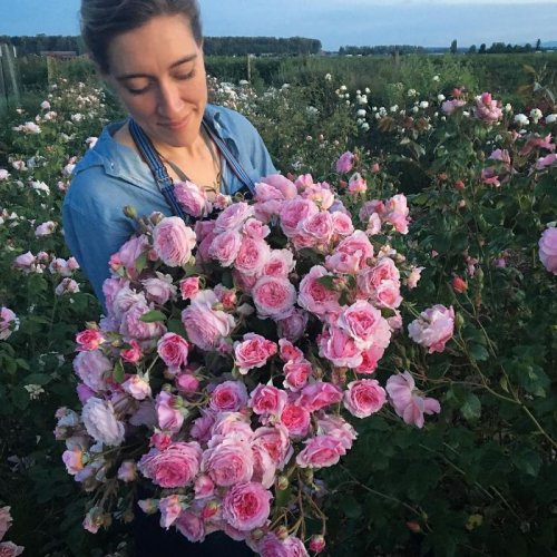 Цветочный Instagram флористки Эрин Бензакин (14 фото)