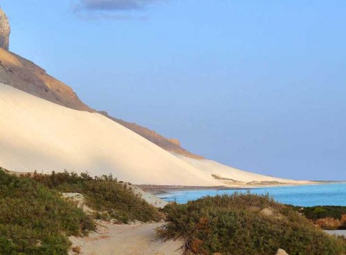 Невероятная природа острова Сокотра (19 фото)