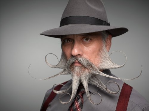 Самые импозантные участники конкурса усачей и бородачей, прошедшего в Нэшвилле (16 фото)
