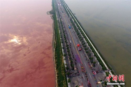 Китайское озеро Яньху окрасилось в розовый цвет (3 фото)