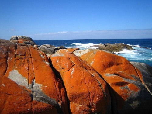 Оранжевые скалы Залива Костров в Тасмании (9 фото)