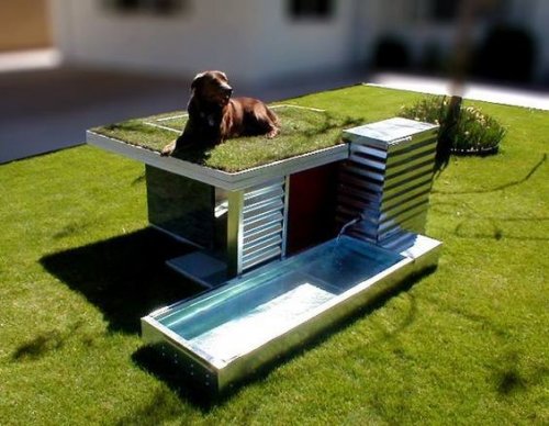 Креативные домики для собак и кошек (18 фото)