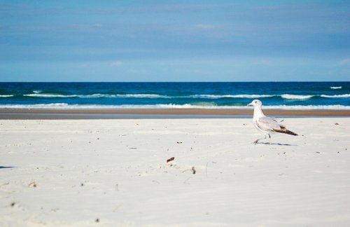 Прекрасные и опасные: пляжи, на которых лучше не отдыхать (10 фото)