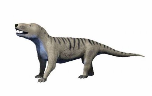 Топ-10: жуткие животные, жившие на Земле еще до динозавров