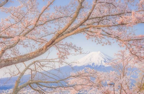 Японские пейзажи в фотографиях Такаси Комацубара (13 фото)