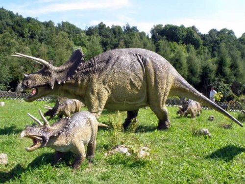 Топ-25: великие тайны мира динозавров, которые нам пока что не суждено раскрыть