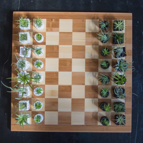 Идеальный шахматный набор для садовода-любителя (9 фото)