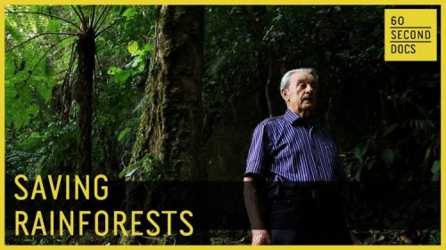 Пенсионер из Бразилии 40 лет выращивал новый лес