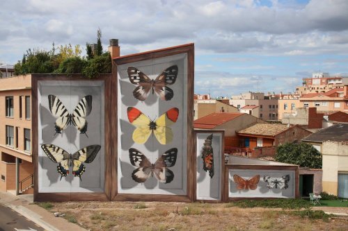 Энтомологический стрит-арт: коллекции бабочек на стенах домов (11 фото)