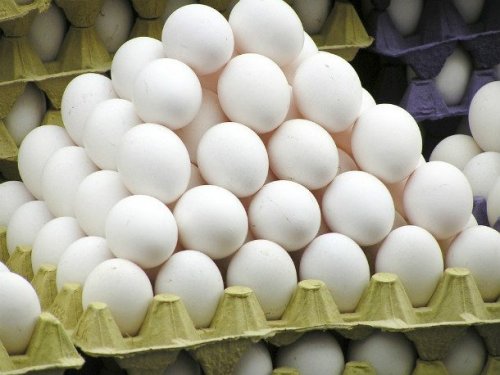 ТОП-25: Удивительные факты про яйца, которые вы могли не знать