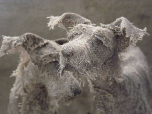 Выразительные скульптуры собак художницы Хелен Томпсон (14 фото)