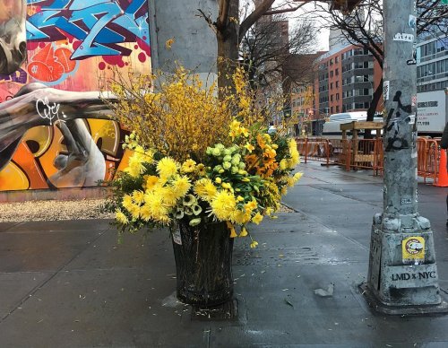 "Цветочные вспышки" на улицах Нью-Йорка (9 фото)