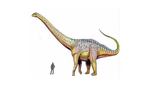Топ-25: крупнейшие доисторические животные, когда-либо обитавшие на нашей планете