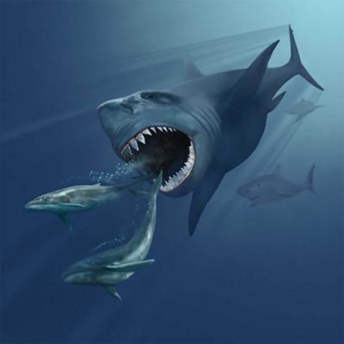 ТОП-25: Невероятные морские монстры, которые когда-то господствовали в океане