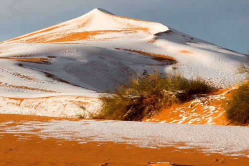Пока мы ждём снега, он выпадает в Сахаре (13 фото)