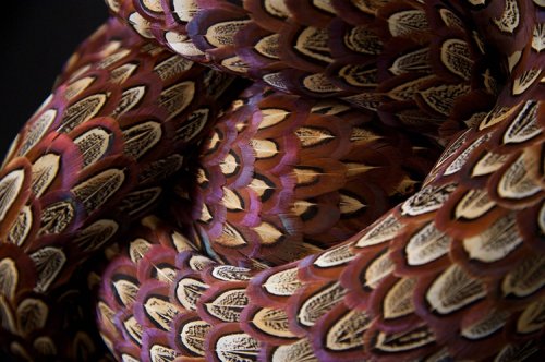 Сюрреалистические змееподобные скульптуры из птичьих перьев (14 фото)
