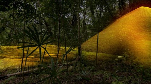 Лазерное картирование обнажило в джунглях Гватемалы 60 000 древних сооружений майя (7 фото)