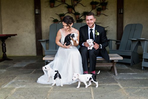 Вместо свадебных букетов эта пара решила держать на руках спасённых щенят, которые после свадьбы нашли себе новые дома (13 фото)