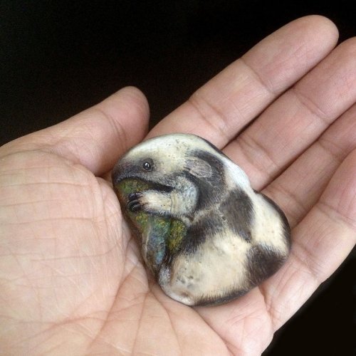 Художница рисует миниатюрных животных на камнях (12 фото)