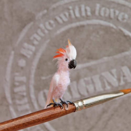 Крошечные реалистичные птицы художницы Кэти Дока (17 фото)