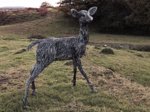 Проволочные скульптуры животных в натуральную величину от Кэндис Биз (12 фото)