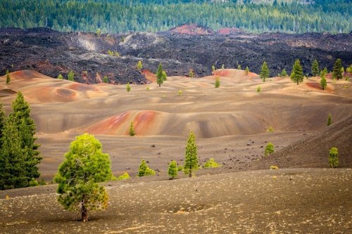 Цветные дюны Национального парка Лассен-Волканик (8 фото)