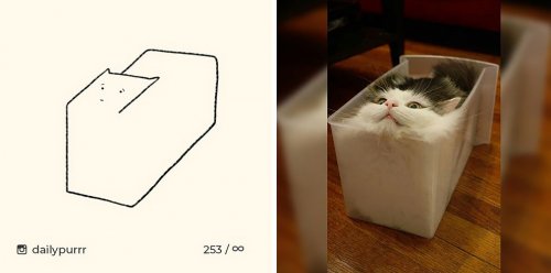 Instagram-аккаунт, в котором публикуются самые нелепые рисунки кошек (16 фото)