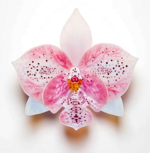 Стеклянные орхидеи Лауры Харт (10 фото)