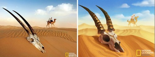 Художник из Шанхая превращает фотографии от National Geographic в великолепные иллюстрации (9 фото)