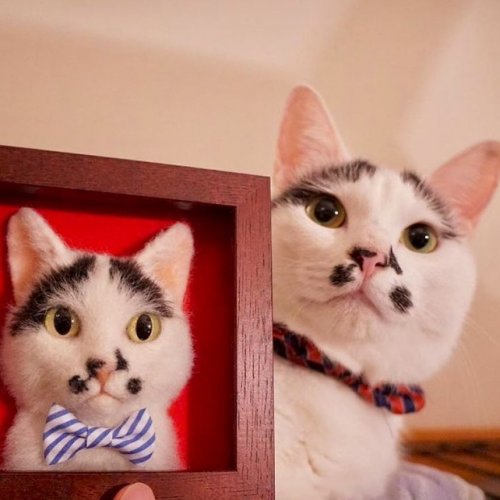 Гиперреалистичные трёхмерные войлочные портреты кошек (16 фото)