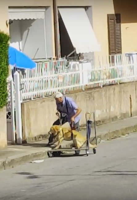 Это трогательное видео про мужчину и его больную собаку покоряет всё больше сердец по всему миру (2 фото + видео)