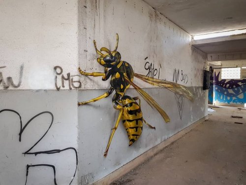 Стрит-арт, который может напугать: гигантские и невероятно реалистичные анаморфные рисунки насекомых (9 фото)